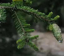 c1212是什么-九游游戏平台